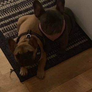 Meet your Posher, Jodi